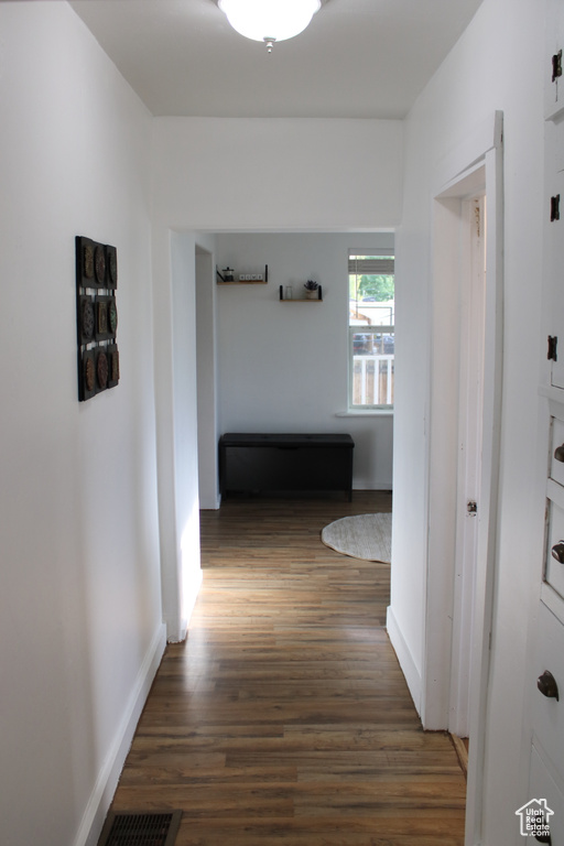 Hall featuring dark hardwood / wood-style floors