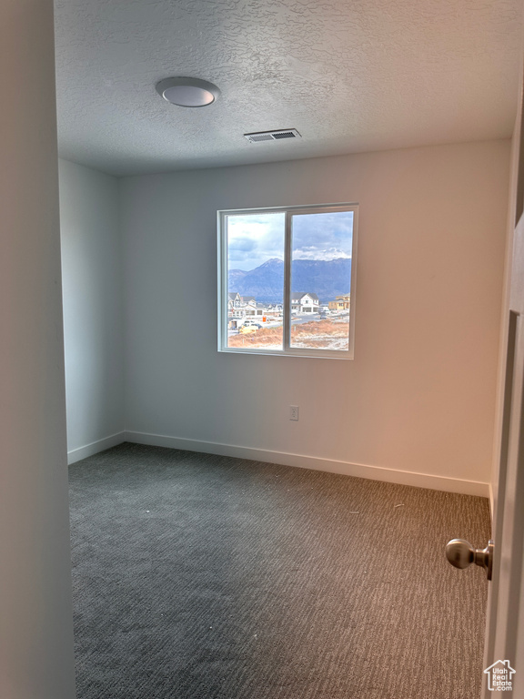 Carpeted spare room featuring a textured ceiling