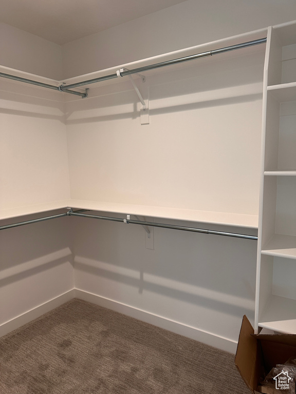 Spacious closet featuring dark colored carpet