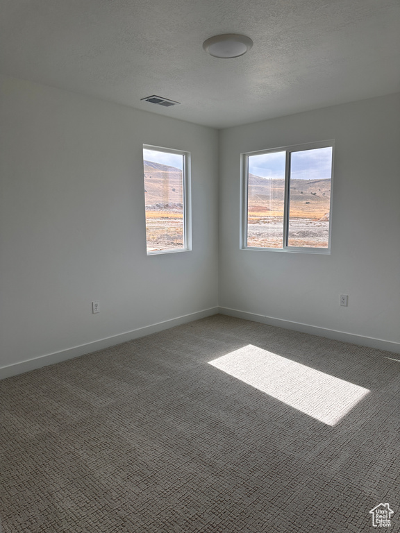 Unfurnished room with a wealth of natural light, dark carpet, and a textured ceiling