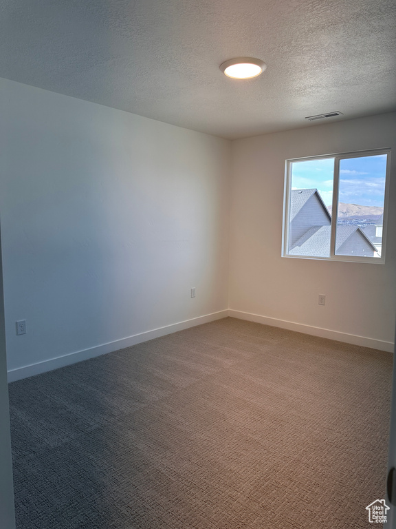 Unfurnished room featuring a textured ceiling and carpet flooring