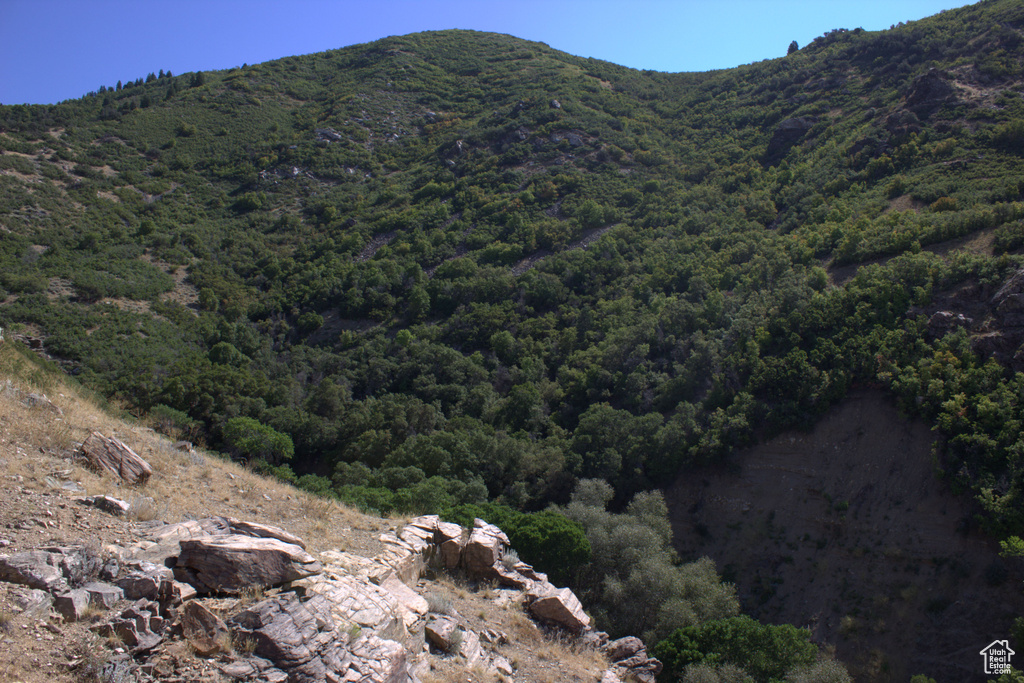 Property view of mountains