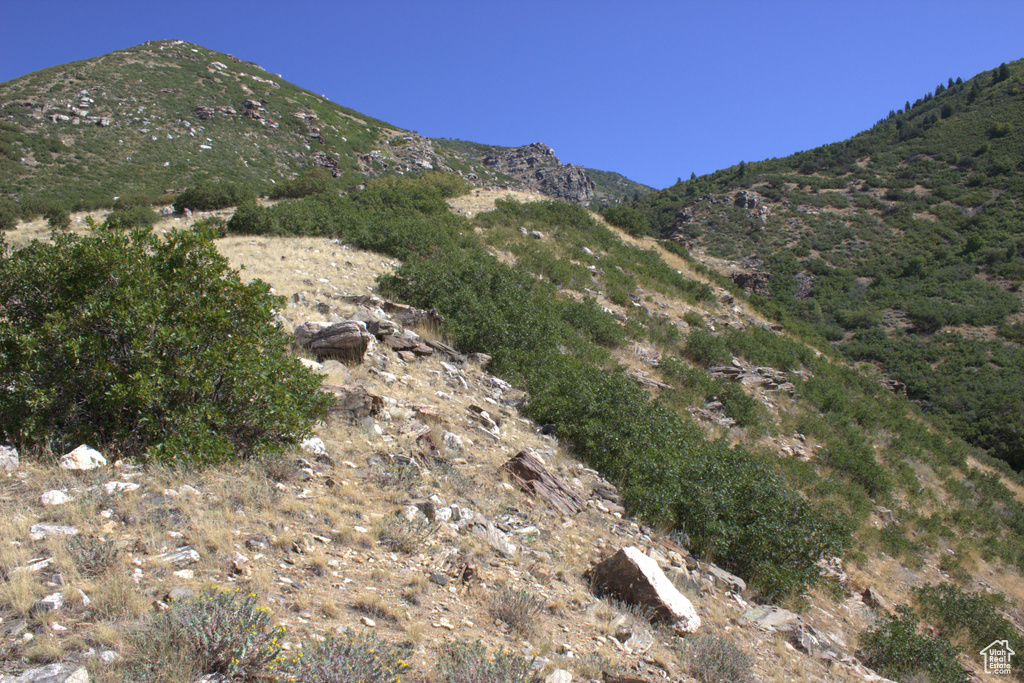 Property view of mountains