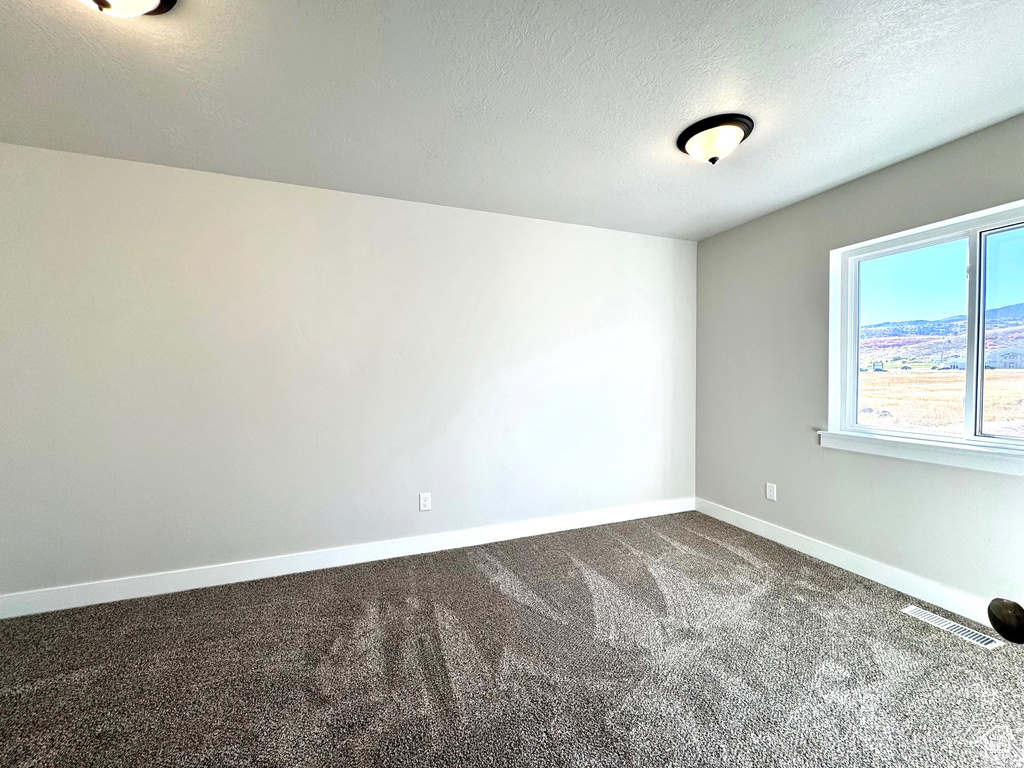 Empty room featuring a textured ceiling and carpet flooring