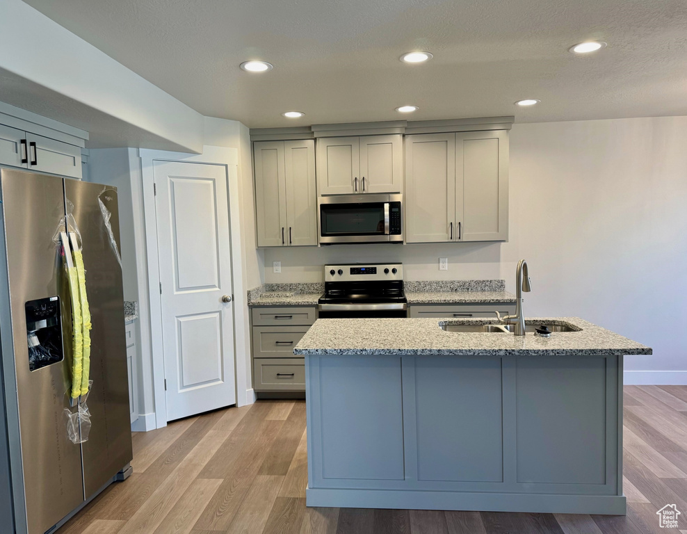 Kitchen featuring gray cabinetry, light hardwood / wood-style floors, appliances with stainless steel finishes, and sink