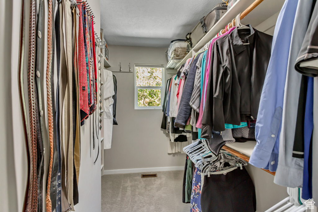 Spacious closet with carpet flooring