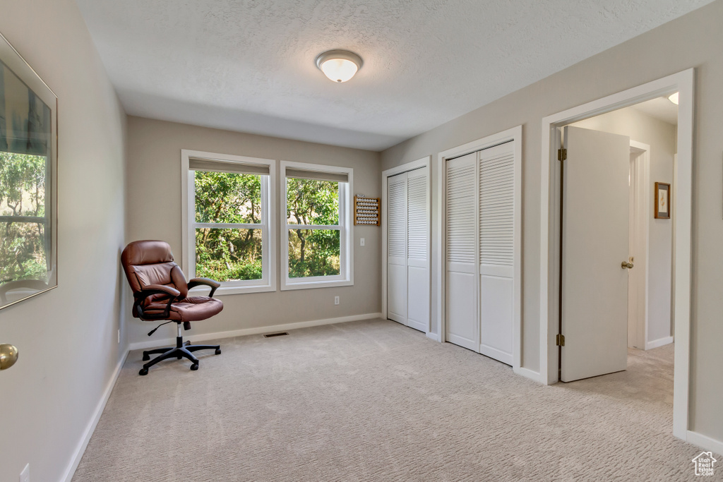 Unfurnished room featuring light carpet and a textured ceiling