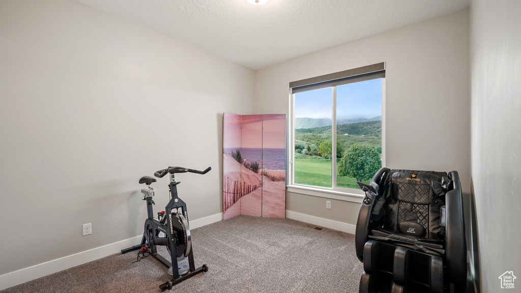 Exercise area with a mountain view, baseboards, and carpet flooring