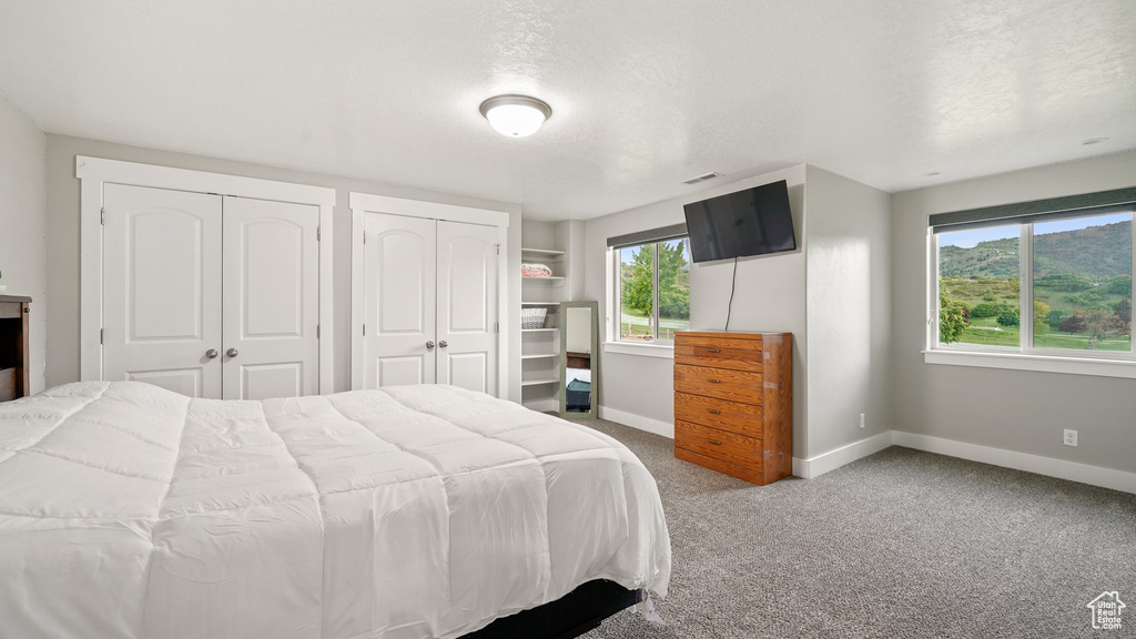 Bedroom with baseboards, two closets, and carpet flooring
