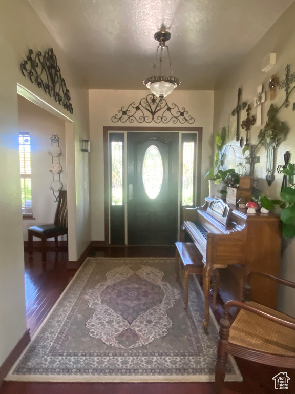 Foyer with dark hardwood / wood-style floors