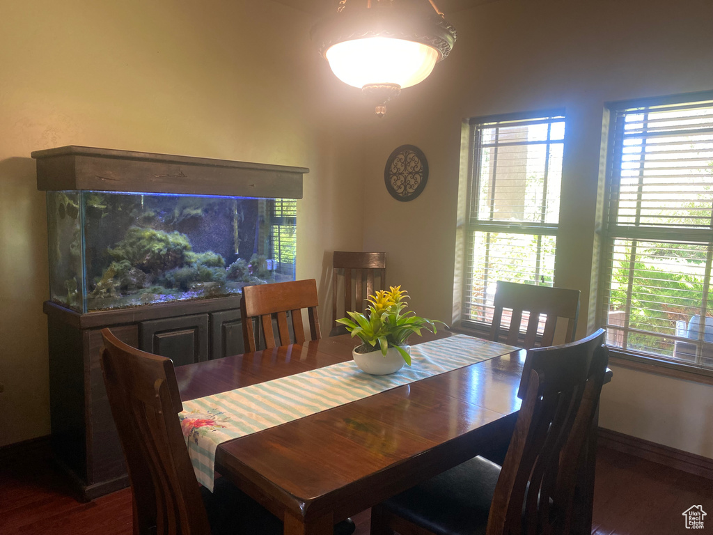 Dining area featuring plenty of natural light and dark wood-type flooring