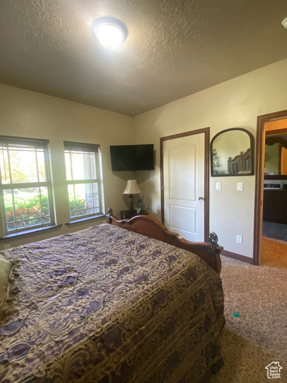 Carpeted bedroom featuring a textured ceiling