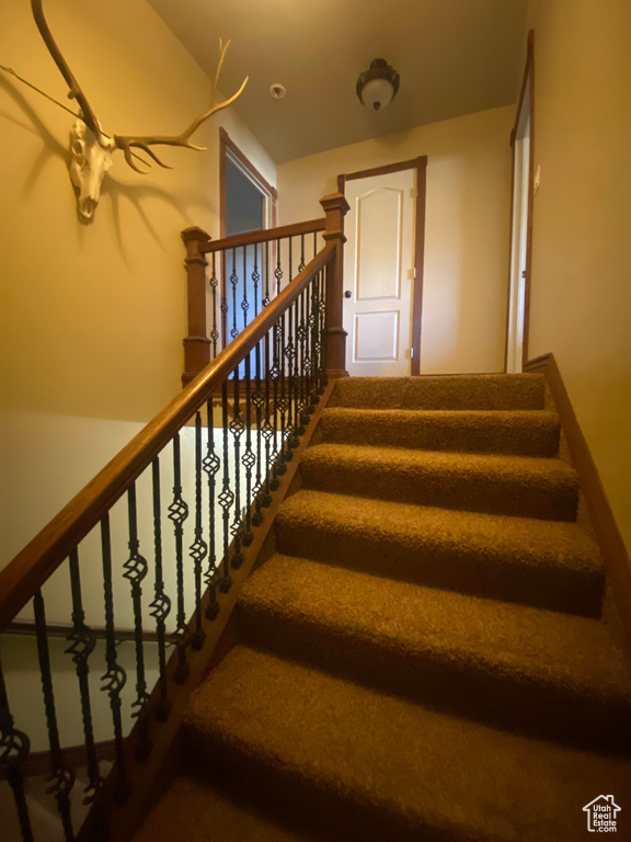 Stairway featuring carpet floors