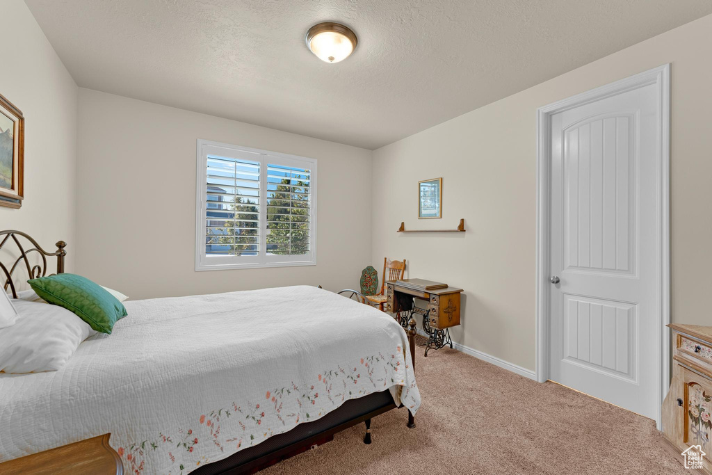 Bedroom featuring carpet floors and a textured ceiling