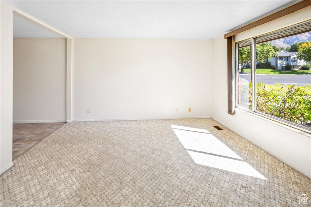 Empty room with carpet and a wealth of natural light