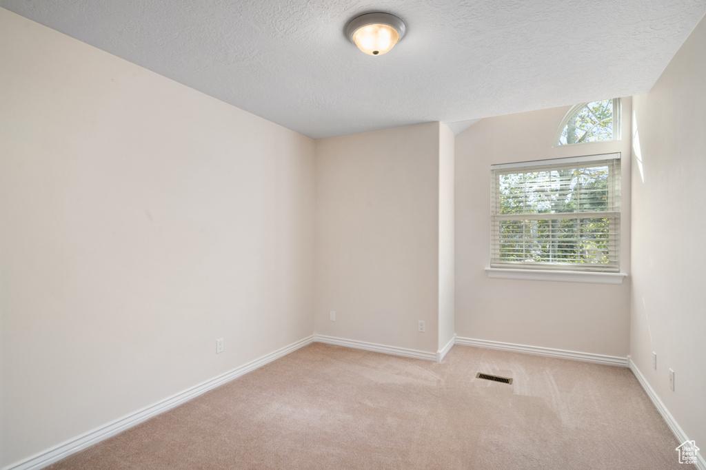 Carpeted spare room featuring a textured ceiling and plenty of natural light