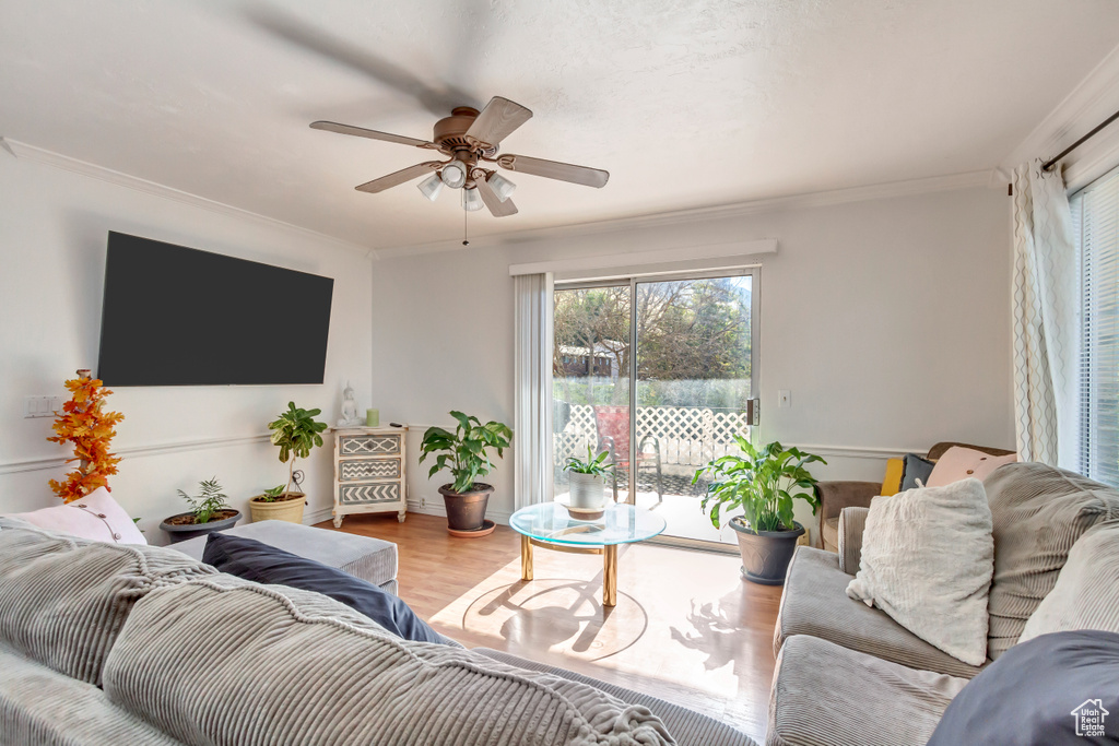 Living room featuring crown molding, ceiling fan, and hardwood / wood-style flooring