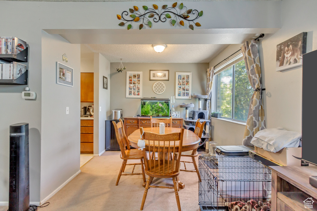 View of carpeted dining room