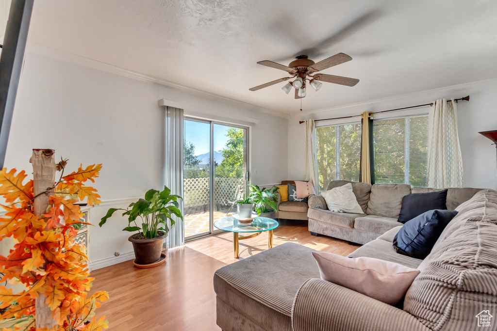 Living room with light wood-type flooring, ornamental molding, and ceiling fan