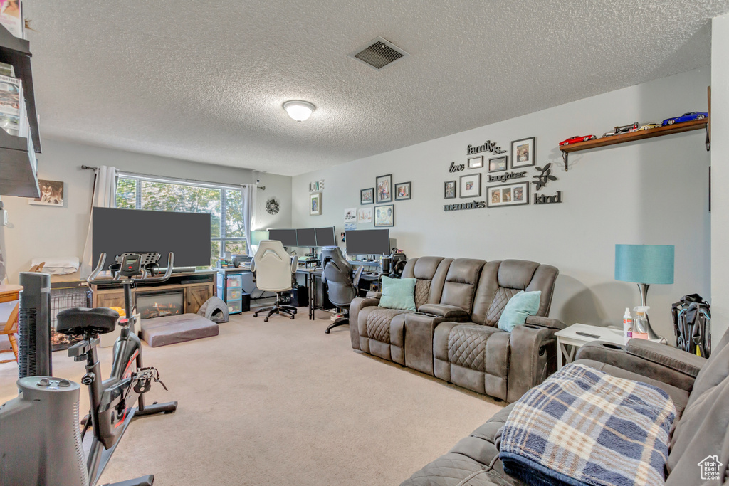 Living room featuring a textured ceiling and light colored carpet