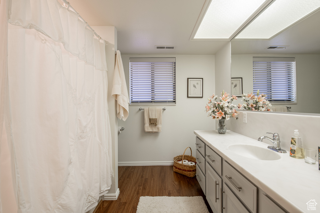 Bathroom featuring a healthy amount of sunlight, vanity, and hardwood / wood-style flooring