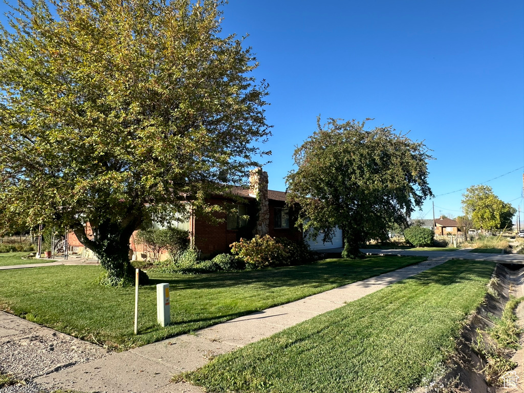 Obstructed view of property with a front lawn