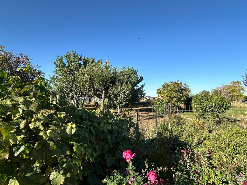 View of yard with a rural view