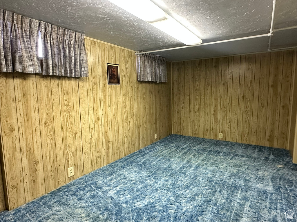 Basement with carpet and wooden walls