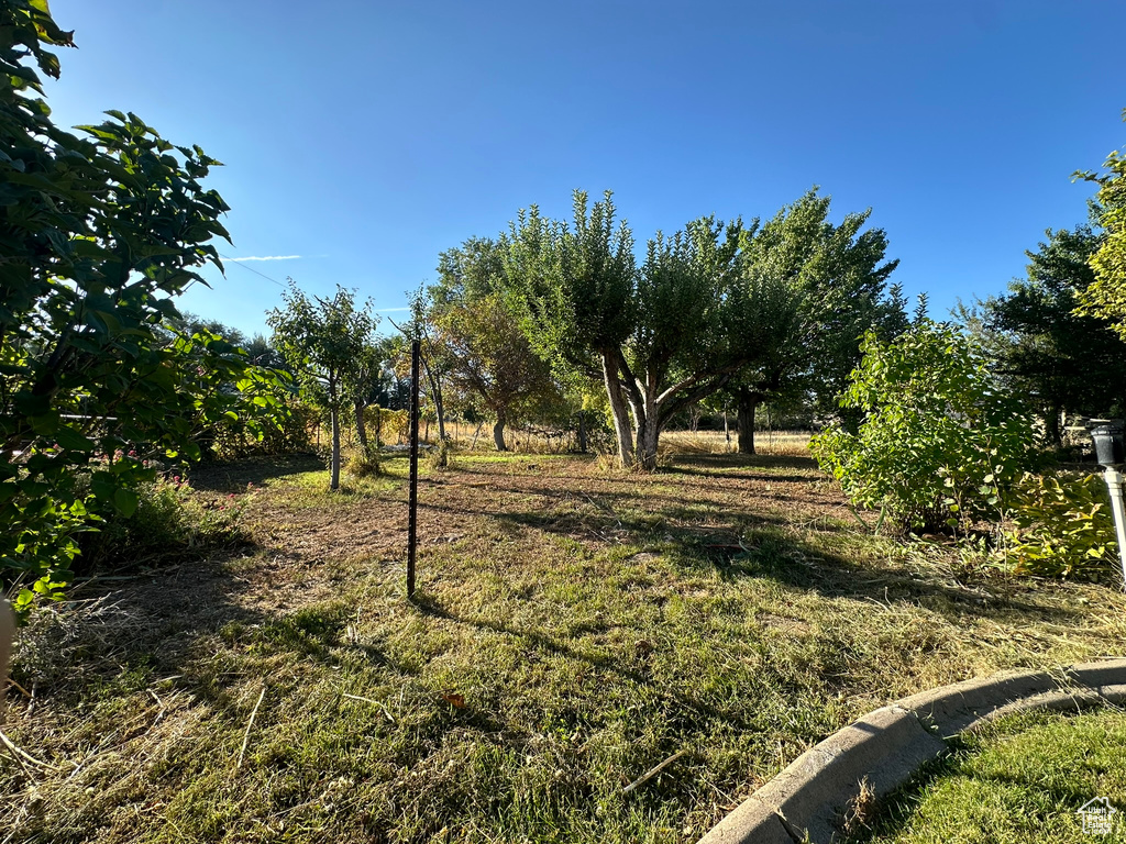 View of yard featuring a rural view