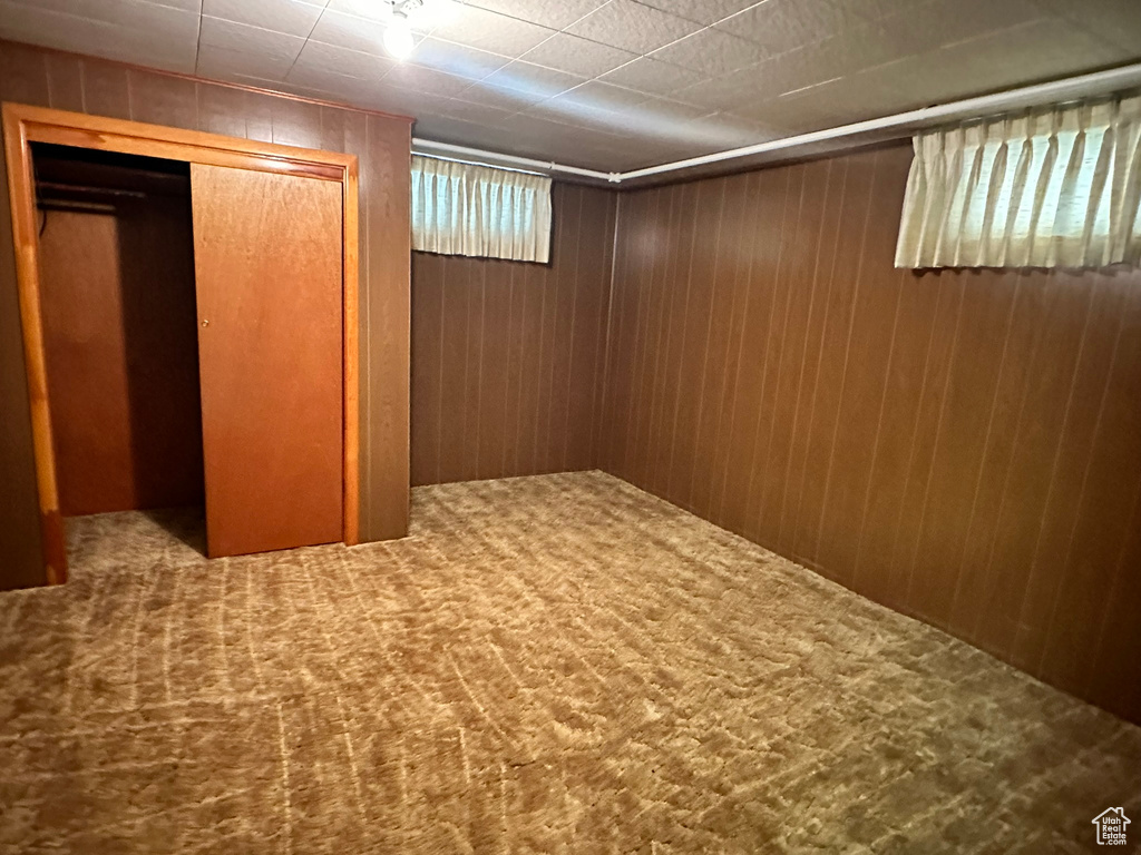 Basement with wooden walls and carpet