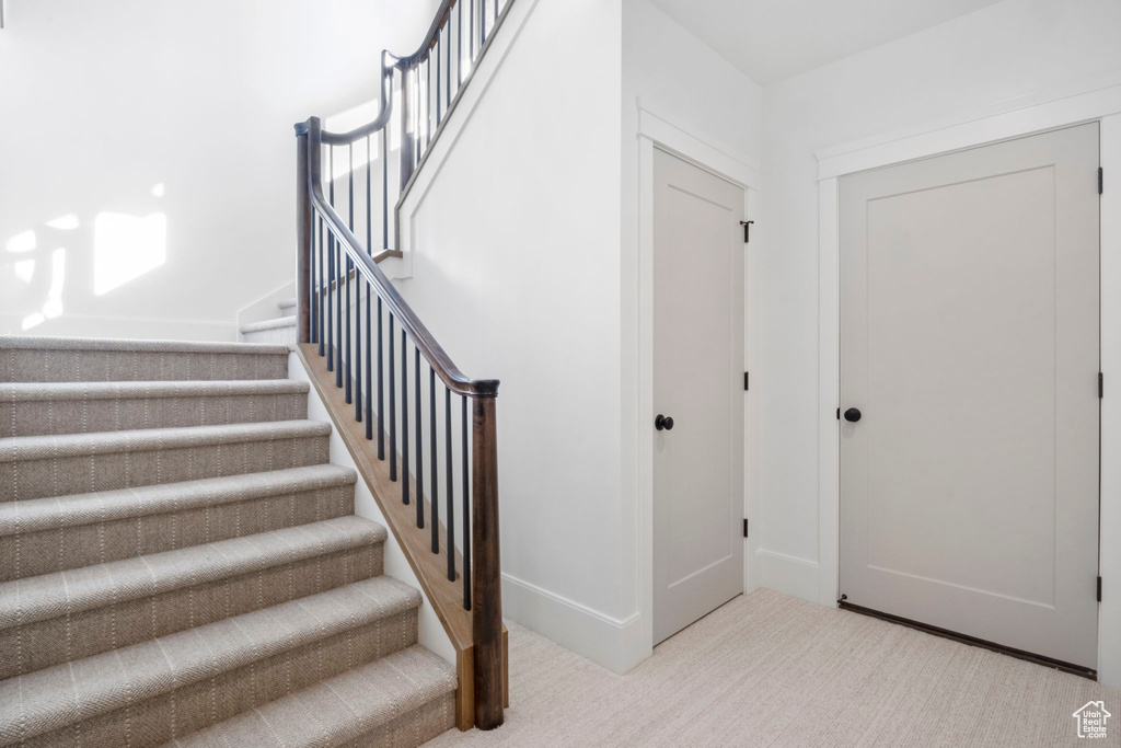 Staircase with carpet flooring