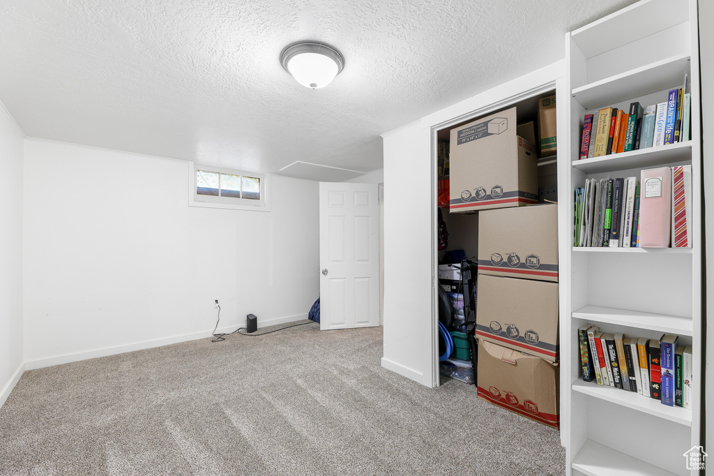 Interior space featuring carpet floors and a textured ceiling