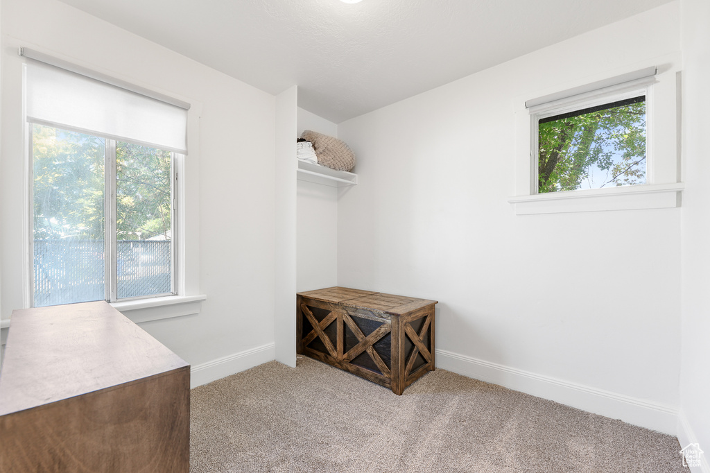 Interior space with light colored carpet