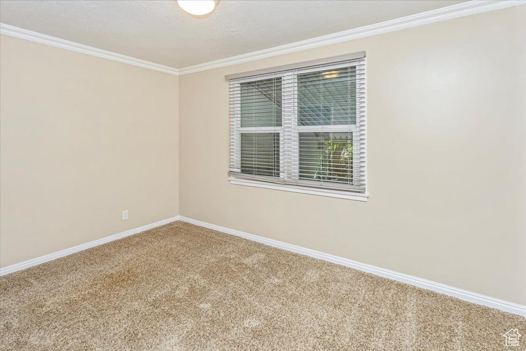 Carpeted empty room with a textured ceiling and crown molding