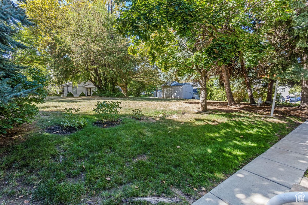 View of yard with a shed