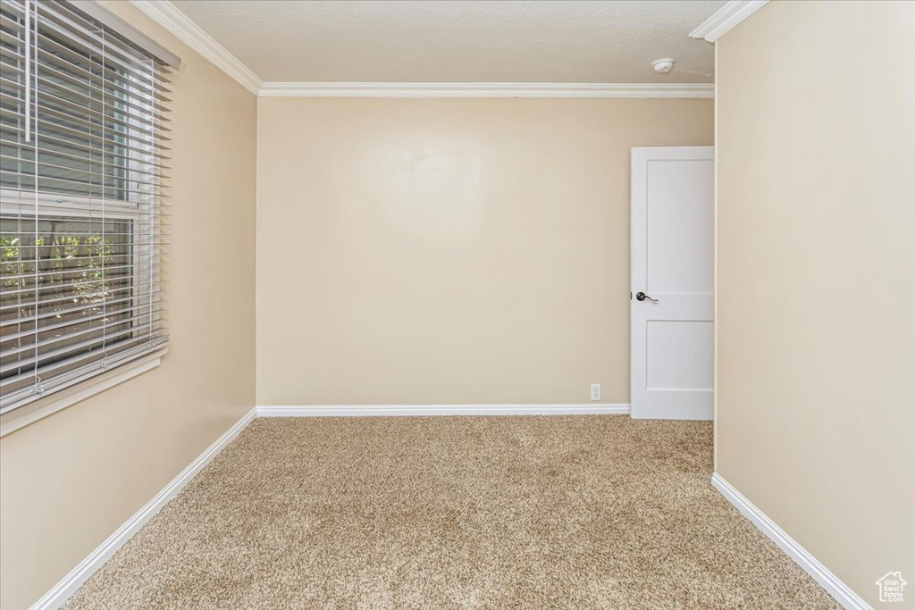 Carpeted empty room featuring crown molding