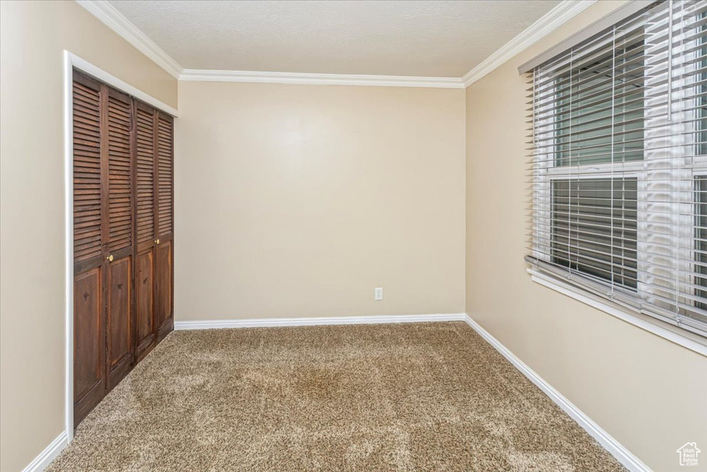 Unfurnished bedroom with a closet, carpet floors, and crown molding