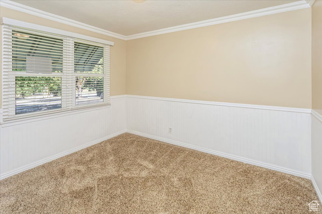 Spare room with ornamental molding and carpet floors