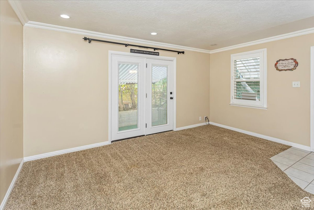 Spare room with light colored carpet, a textured ceiling, ornamental molding, and a healthy amount of sunlight