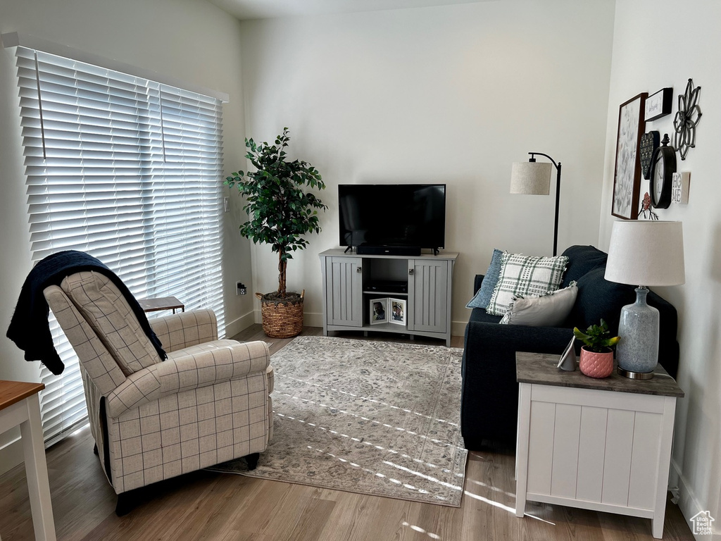 Living room featuring wood-type flooring