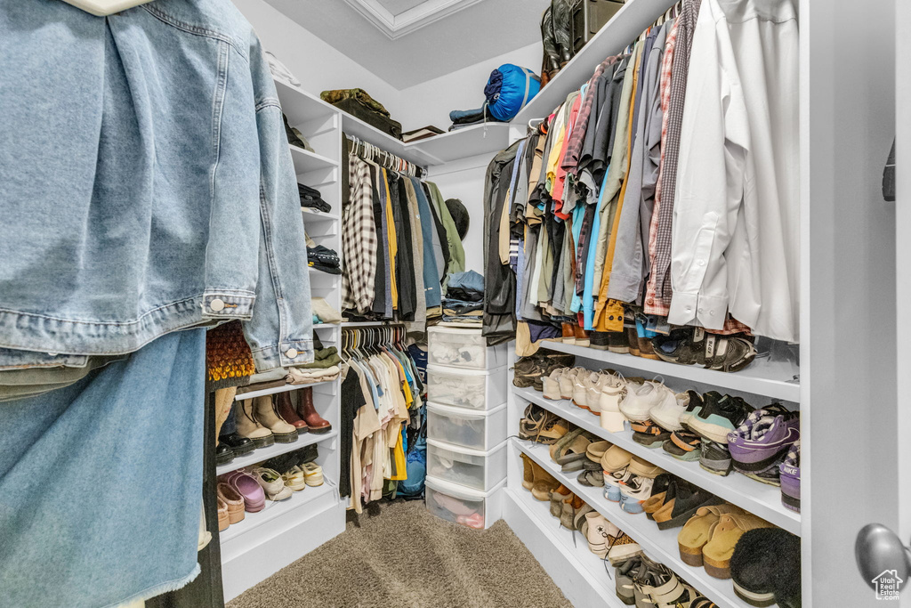 Walk in closet with carpet flooring