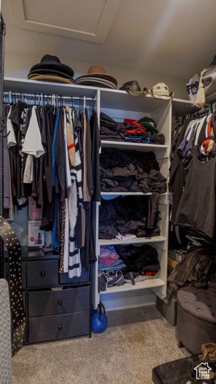 Spacious closet with carpet