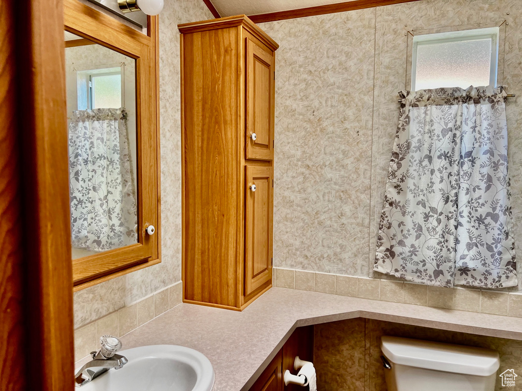 Bathroom featuring ornamental molding, toilet, and vanity