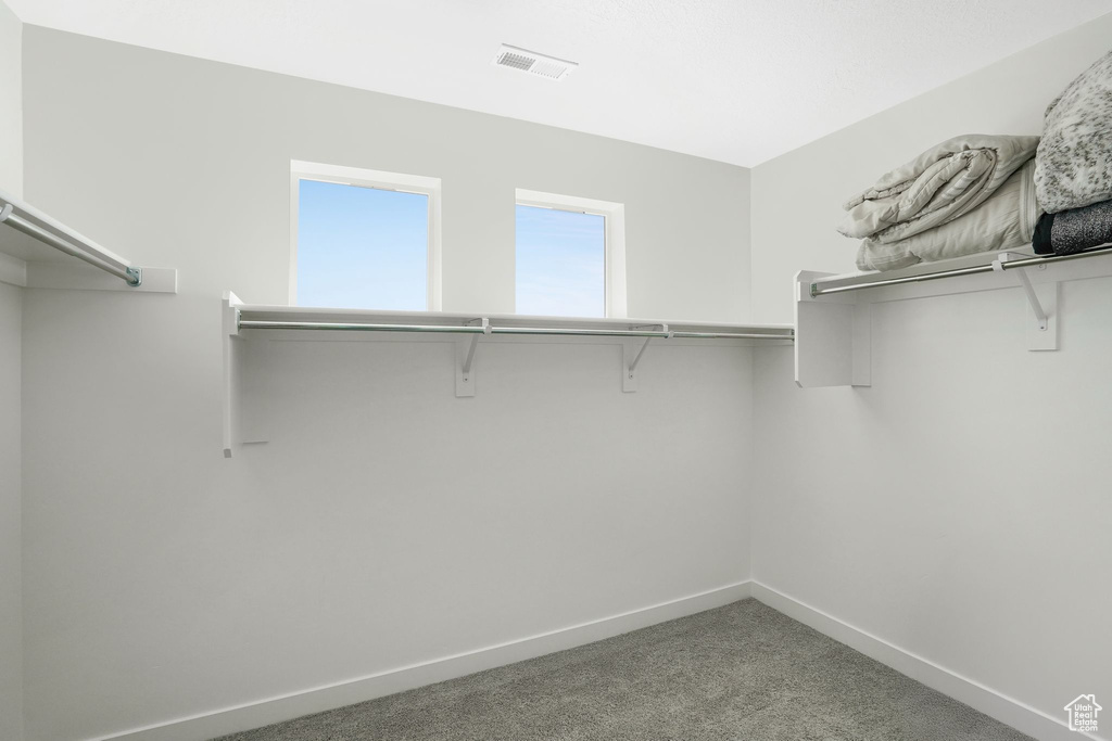 Spacious closet with carpet floors