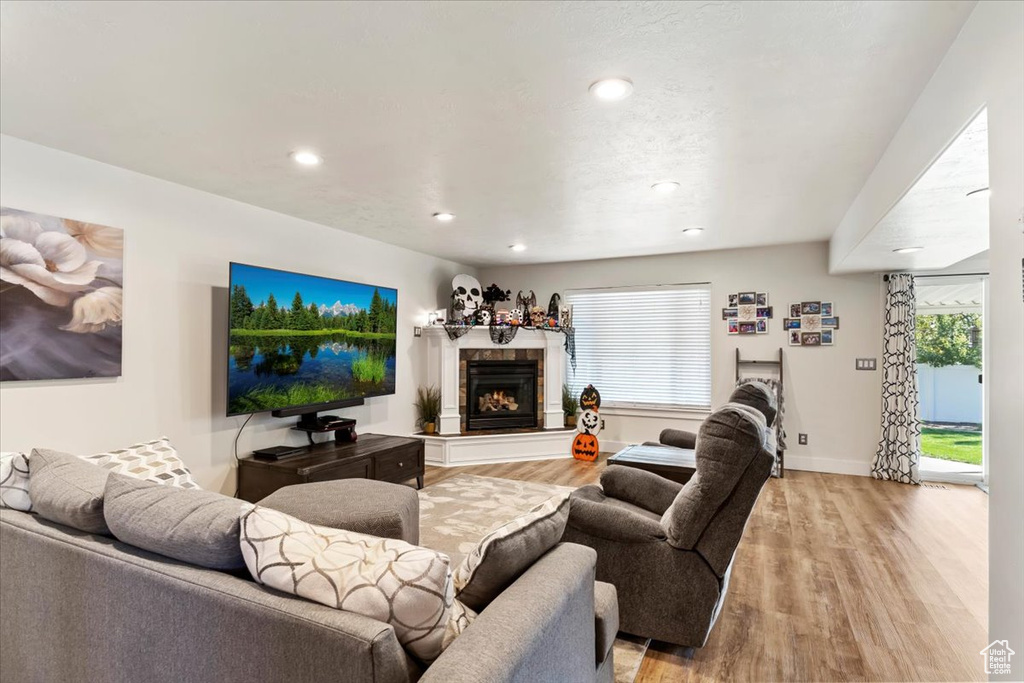 Living room with light hardwood / wood-style flooring and plenty of natural light