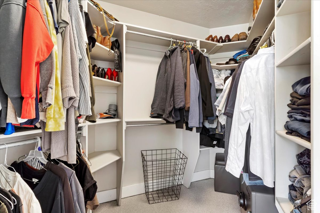 Spacious closet featuring light carpet