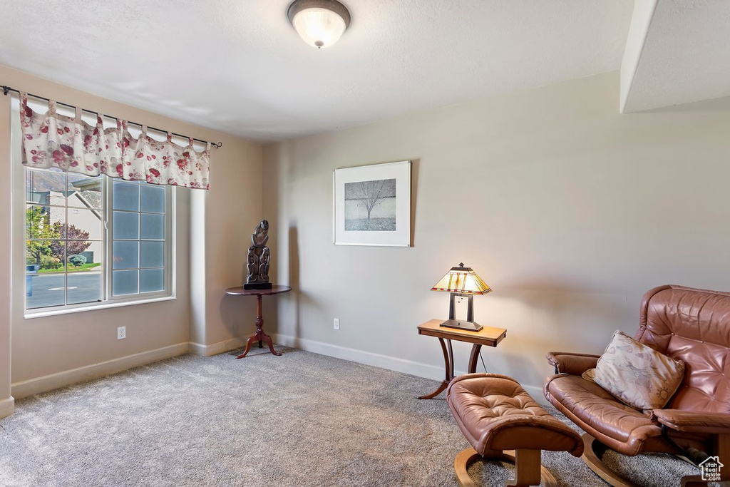 Sitting room with carpet