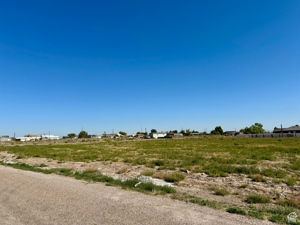 View of local wilderness with a rural view