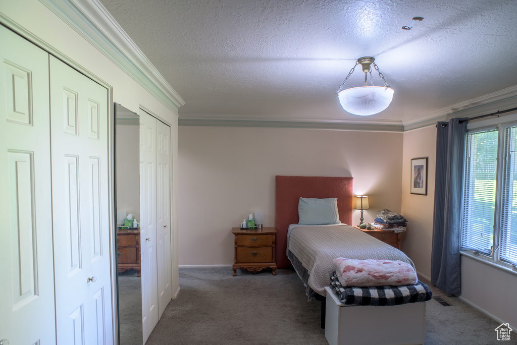 Bedroom with ornamental molding, multiple closets, and carpet flooring