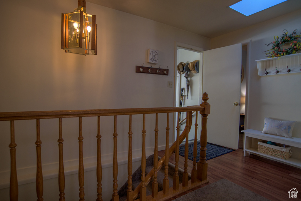 Stairs with wood-type flooring, an inviting chandelier, and a skylight